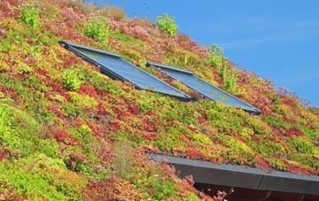 Viney Hill living roof systems