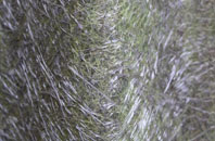 Viney Hill fibreglass roof work